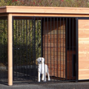 Hundezwinger mit Auslauf von 2x2 m und versehen mit einem isolierten Schlafhaus