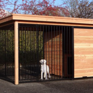 Grosser Hundezwinger Fix mit schwarzen Dach und Douglasienholz Rahmen