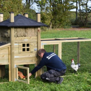 Unter der Stall können Ihre Hühner schützen