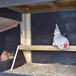 Der Schlafraum bietet Platz für Ihre Hühner