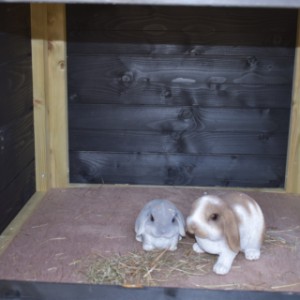 Der Kaninchenstall Rosanne ist ausgestattet mit ein groß Schlafraum