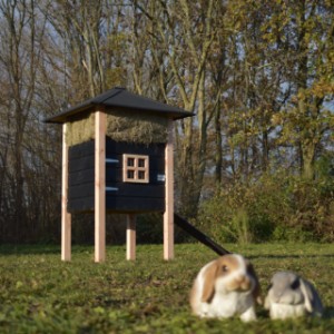 Der Heuhaufen Rosanne ist geeignet für 2 bis 4 Kaninchen