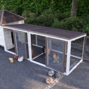 Der Stall Ambiance Large bietet viel Platz für Ihre Hühner