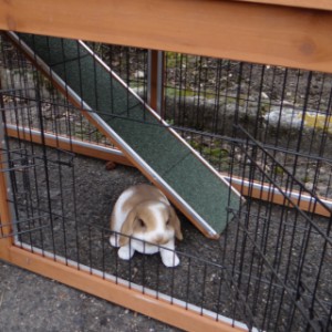 Kaninchenstall Maurice | Gittertür