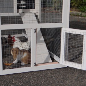 Tür für Auslauf Kaninchenstall