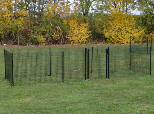 Hühnerauslauf Rectangle schwarz 600x200x123cm