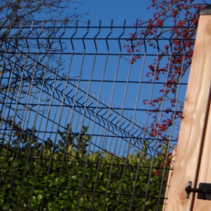 Zaun Rectangle | Zaun schwarz mit Douglasienholz online zu kaufen!