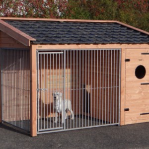 Der Hundezwinger Max ist ausgestattet mit genützte Dachziegeln
