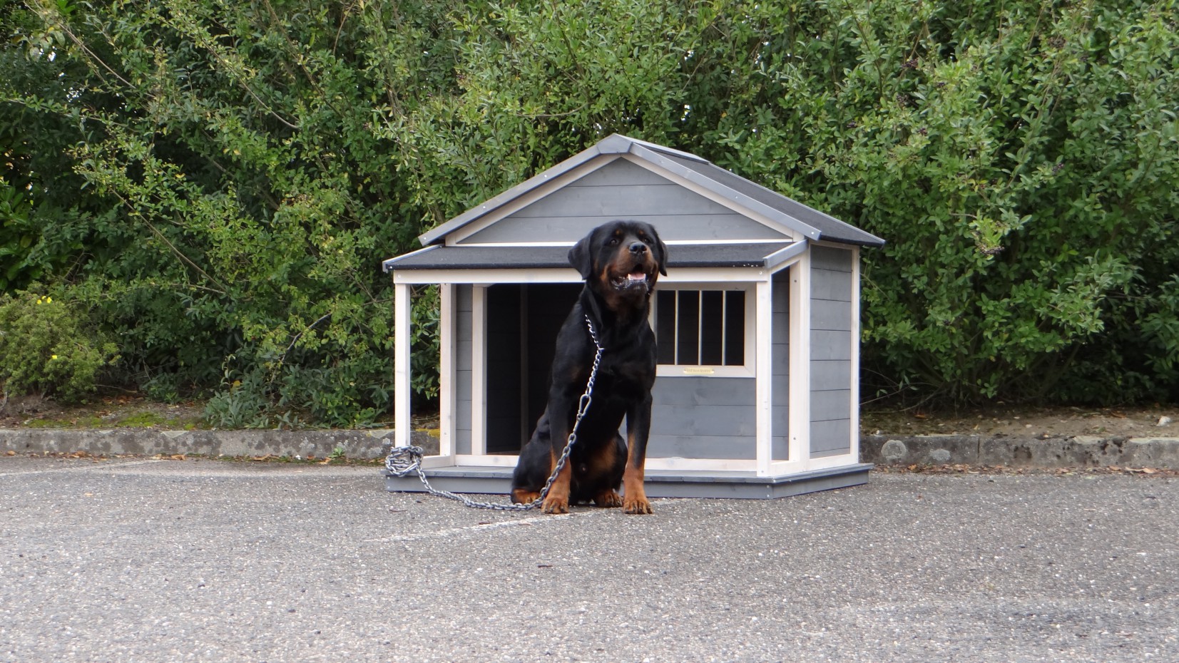 Geräumige XXL Hundehütte aus Kiefernholz online kaufen