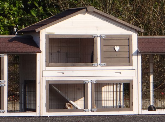 Plexiglas Isolierset · für Kaninchenstall Regular Medium mit 2 Auslaüfe