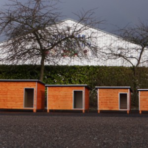 Hundehütte Base - XL - L - M - S