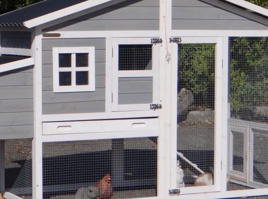 Plexiglas Isolierset · für Kaninchenstall Niels