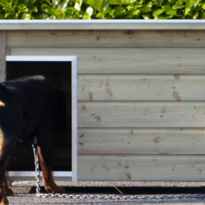 Imprägnierte Hundehütte für Hunde