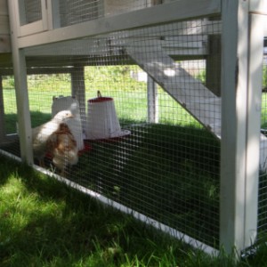 Meerschweinchenstall Kathedraal Large hat ein große Auslauf