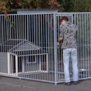 Schöne Hundezwinger 1,5x3 mit Dach
