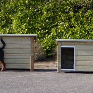 Hundehütte mit flachem Dach