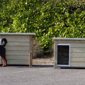 Hundehütte für Draussen