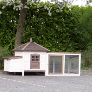 Stall Ambiance Small bietet viel Platz für Ihre Kaninchen