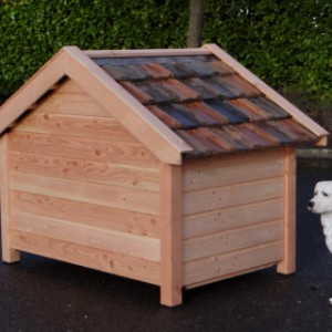 Hundehütte Snuf | Rückseite Hundehütte Snuf