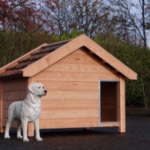 Hundehütte Snuf ist geeignet für große Hunden, so wie zB. ein  Deutscher Schäferhund