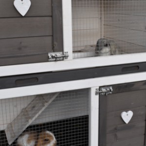 Der Kaninchenstall Annemieke bietet viel Platz für Ihre Kaninchen