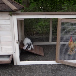 Der Auslauf von Meerschweinchenstall Ambiance Small hat ein große Tür
