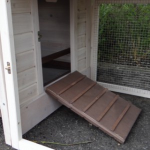 Eben gucken in der Auslauf von Meerschweinchenstall Ambiance Small