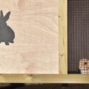 Der schöne Kaninchenstall Axi Maxi wird hergestellt durch AnimalHouseShop.de