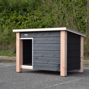 Der Hundehütte Ferro ist verfügbar als isolierte Hütte