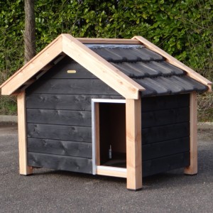 Hundehütte Reno schwarz/Douglas 160x106x123cm