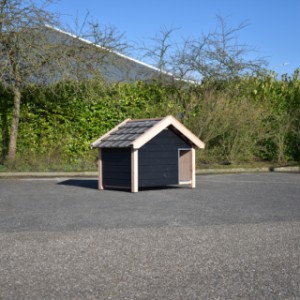 Der Hütte aus Holz Snuf ist ein schöne Platz für Ihre Hund