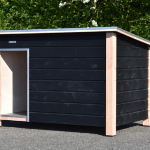 Das Hundehütte „Loebas“ ist aus schwarz imprägniertem Fichtenholz gefertigt und mit einem Rahmen aus Douglasie versehen.