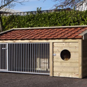 Hundehütte Roxy 1 • Douglasien • 330x132x150cm