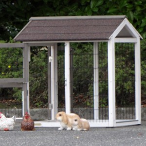 anbau-auslauf kaninchenstall | Hühnerstall