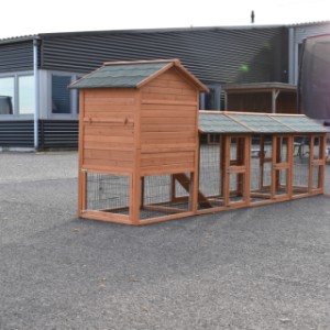 Eben gucken an der Rückseite von Hühnerstall Prestige Medium