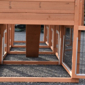 Eben gucken im Auslauf von Hühnerstall Prestige Medium