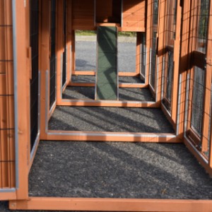 Eben gucken im Auslauf von Hühnerstall Prestige Medium