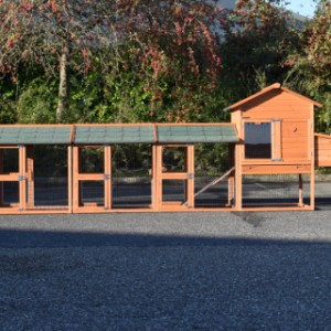 Der Kombination Hühnerstall Prestige Medium ist erweitert mit 3 Ausläufe und Legenest