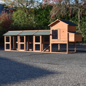 Kaninchenstall Prestige Medium mit 3 Ausläufe und Nistkaste · 423x91x150cm