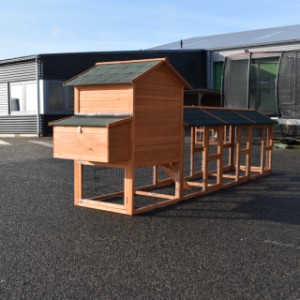 Eben gucken an der Rückseite von Kaninchenstall Prestige Medium