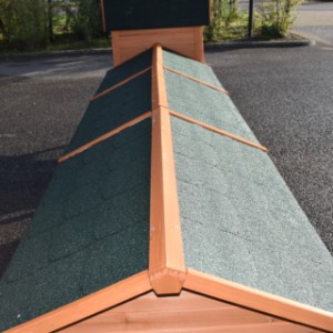 Hühnerstall Prestige Medium | die Dächer sind ausgestattet mit grüne Dachpappe