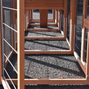 Eben gucken im Auslauf von Kaninchenstall Prestige Medium