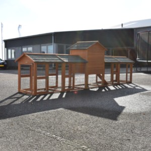 Eben gucken an der Rückseite von Kaninchenstall Prestige Medium