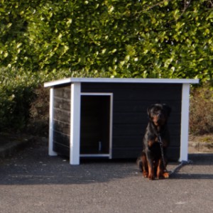 Hundehütte Wolf Schwarz/Weis