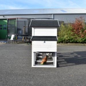 Der Hühnerstall Prestige Medium ist erweitert mit ein Legenest