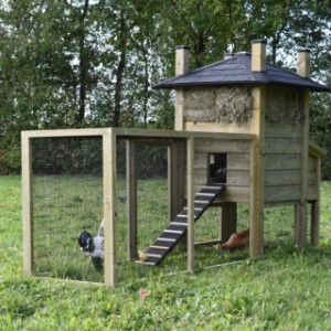 Eben gucken an der Rückseite von Hühnerstall Heuhaufen Rosa