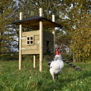 Der Stall Rosalynn ist geeignet für 3 bis 5 Hühner