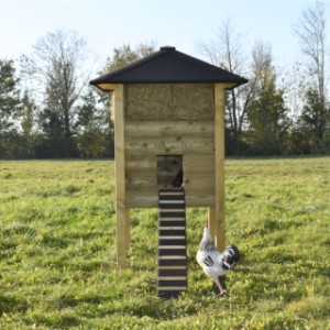 Der Hühnerstall Heuhaufen Rosanne ist ausgestattet mit ein stabile Leiter