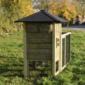 Eben gucken an der Rückseite von Hühnerstall Heuhaufen Rosanne