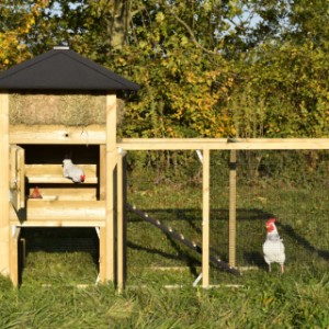 Der Hühnerstall Rosanne ist ausgestattet mit große Türen